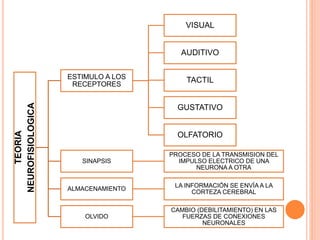 TEORIA
NEUROFISIOLOGICA
ESTIMULO A LOS
RECEPTORES
VISUAL
AUDITIVO
TACTIL
GUSTATIVO
OLFATORIO
SINAPSIS
PROCESO DE LA TRANSMISION DEL
IMPULSO ELECTRICO DE UNA
NEURONA A OTRA
ALMACENAMIENTO
LA INFORMACIÓN SE ENVÍA A LA
CORTEZA CEREBRAL
OLVIDO
CAMBIO (DEBILITAMIENTO) EN LAS
FUERZAS DE CONEXIONES
NEURONALES
