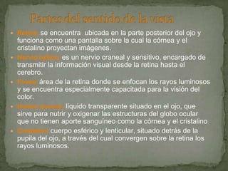  Retina: se encuentra ubicada en la parte posterior del ojo y
funciona como una pantalla sobre la cual la córnea y el
cristalino proyectan imágenes.
 Nervio óptico: es un nervio craneal y sensitivo, encargado de
transmitir la información visual desde la retina hasta el
cerebro.
 Fóvea: área de la retina donde se enfocan los rayos luminosos
y se encuentra especialmente capacitada para la visión del
color.
 Humor acuoso: líquido transparente situado en el ojo, que
sirve para nutrir y oxigenar las estructuras del globo ocular
que no tienen aporte sanguíneo como la córnea y el cristalino
 Cristalino: cuerpo esférico y lenticular, situado detrás de la
pupila del ojo, a través del cual convergen sobre la retina los
rayos luminosos.
 