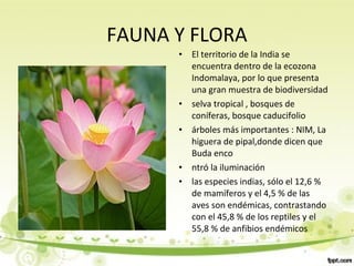 FAUNA Y FLORA
• El territorio de la India se
encuentra dentro de la ecozona
Indomalaya, por lo que presenta
una gran muestra de biodiversidad
• selva tropical , bosques de
coníferas, bosque caducifolio
• árboles más importantes : NIM, La
higuera de pipal,donde dicen que
Buda enco
• ntró la iluminación
• las especies indias, sólo el 12,6 %
de mamíferos y el 4,5 % de las
aves son endémicas, contrastando
con el 45,8 % de los reptiles y el
55,8 % de anfibios endémicos
 