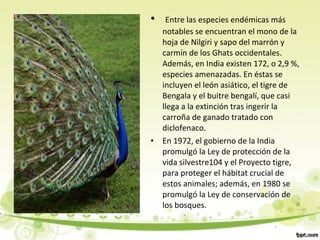 • Entre las especies endémicas más
notables se encuentran el mono de la
hoja de Nilgiri y sapo del marrón y
carmín de los Ghats occidentales.
Además, en India existen 172, o 2,9 %,
especies amenazadas. En éstas se
incluyen el león asiático, el tigre de
Bengala y el buitre bengalí, que casi
llega a la extinción tras ingerir la
carroña de ganado tratado con
diclofenaco.
• En 1972, el gobierno de la India
promulgó la Ley de protección de la
vida silvestre104 y el Proyecto tigre,
para proteger el hábitat crucial de
estos animales; además, en 1980 se
promulgó la Ley de conservación de
los bosques.
 