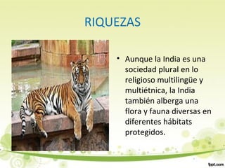 RIQUEZAS
• Aunque la India es una
sociedad plural en lo
religioso multilingüe y
multiétnica, la India
también alberga una
flora y fauna diversas en
diferentes hábitats
protegidos.
 