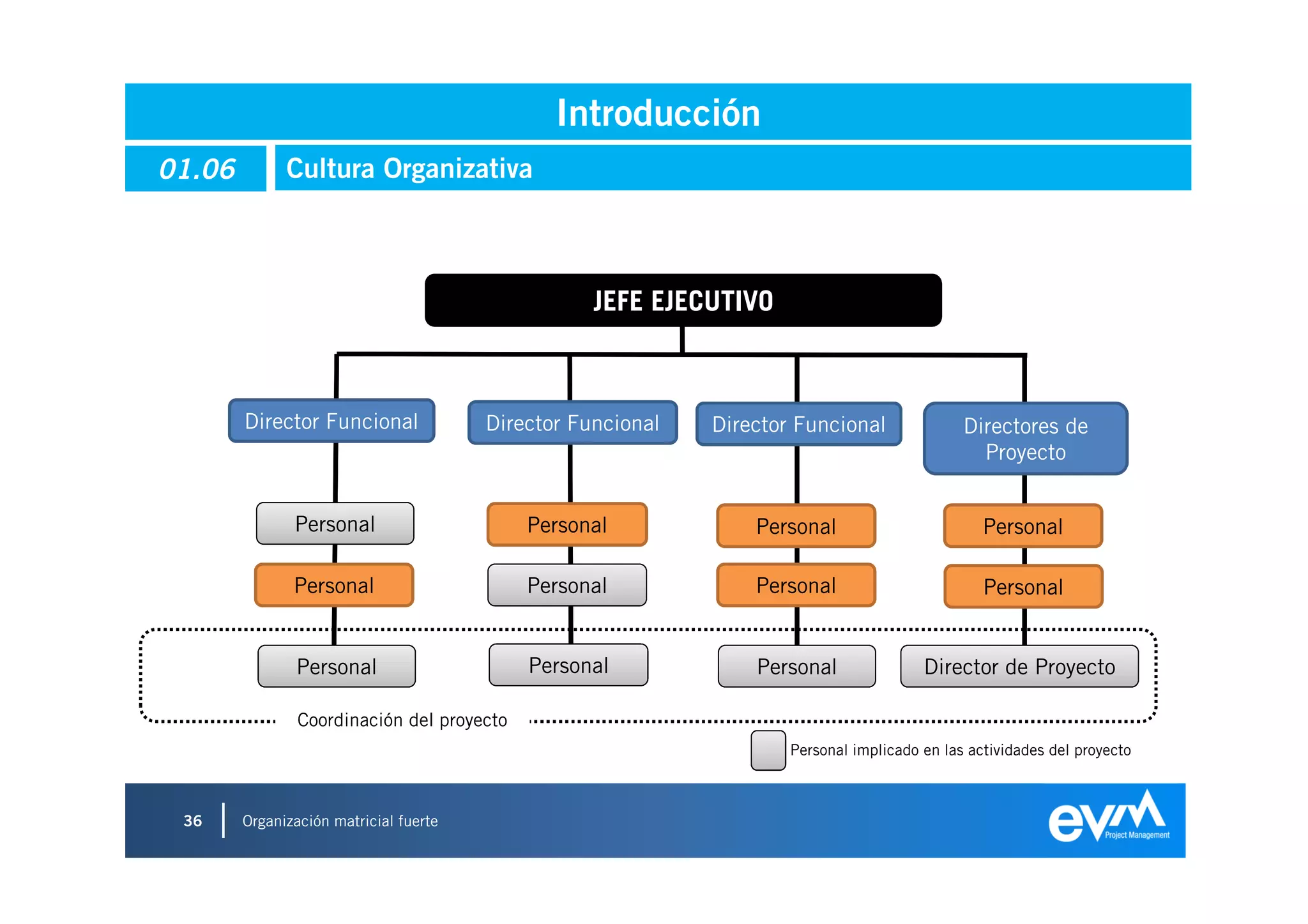Introducción
01.06         Cultura Organizativa



                                                   JEFE EJECUTIVO



        Director Funcional              Director Funcional   Director Funcional               Directores de
                                                                                                Proyecto


               Personal                     Personal             Personal                        Personal

               Personal                     Personal             Personal                        Personal


               Personal                     Personal             Personal               Director de Proyecto

                Coordinación del proyecto
                                                                     Personal implicado en las actividades del proyecto



 36     Organización matricial fuerte
 
