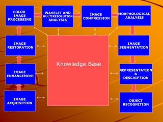 DIP PPT (1).pptx | Digital Audio | Computer Software and Applications