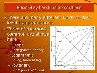 DIP PPT (1).pptx | Digital Audio | Computer Software and Applications