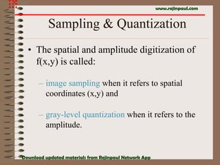Gray Level Quantization Basic DIP PPT notes.pdf