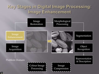 Image
Acquisition
Image
Restoration
Morphological
Processing
Segmentation
Representation
& Description
Image
Enhancement
Object
Recognition
Problem Domain
Colour Image
Processing
Image
Compression
 