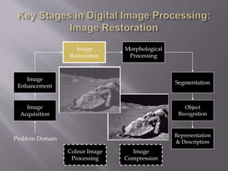 Image
Acquisition
Image
Restoration
Morphological
Processing
Segmentation
Representation
& Description
Image
Enhancement
Object
Recognition
Problem Domain
Colour Image
Processing
Image
Compression
 