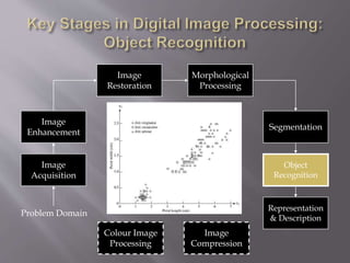 Image
Acquisition
Image
Restoration
Morphological
Processing
Segmentation
Representation
& Description
Image
Enhancement
Object
Recognition
Problem Domain
Colour Image
Processing
Image
Compression
 
