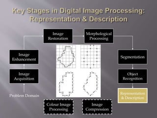 Image
Acquisition
Image
Restoration
Morphological
Processing
Segmentation
Representation
& Description
Image
Enhancement
Object
Recognition
Problem Domain
Colour Image
Processing
Image
Compression
 