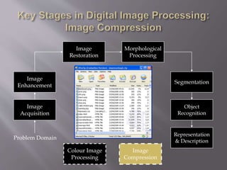 Image
Acquisition
Image
Restoration
Morphological
Processing
Segmentation
Representation
& Description
Image
Enhancement
Object
Recognition
Problem Domain
Colour Image
Processing
Image
Compression
 