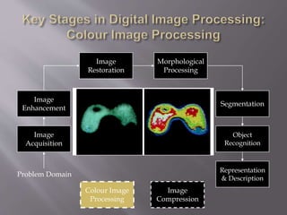 Image
Acquisition
Image
Restoration
Morphological
Processing
Segmentation
Representation
& Description
Image
Enhancement
Object
Recognition
Problem Domain
Colour Image
Processing
Image
Compression
 