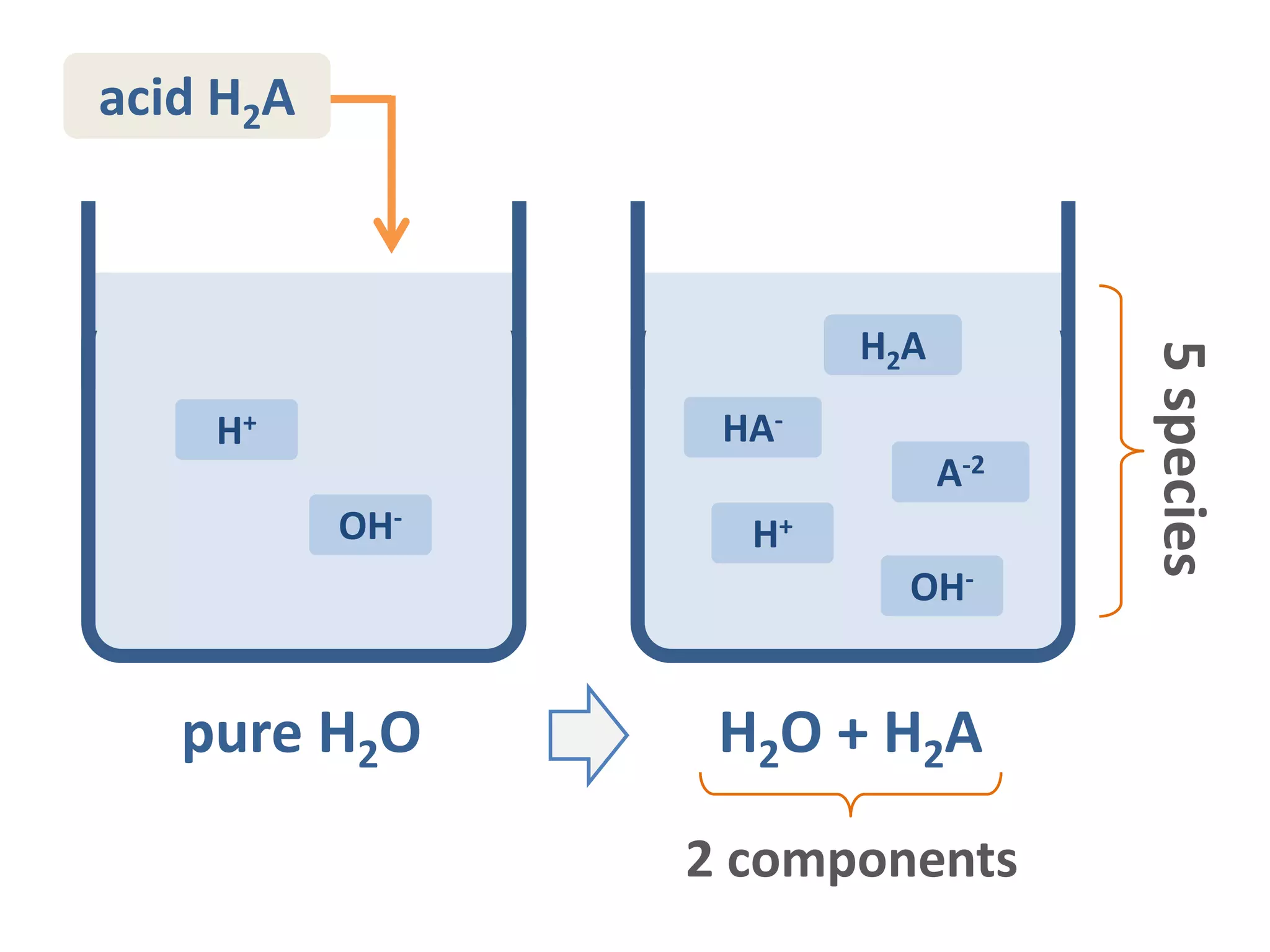 pure H2O
OH-
H+
H2O + H2A
H2A
HA-
A-2
OH-
H+
acid H2A
5species
2 components
 