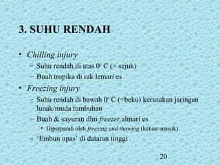 20
3. SUHU RENDAH
• Chilling injury
– Suhu rendah di atas 0O
C (= sejuk)
– Buah tropika di rak lemari es
• Freezing injury
– Suhu rendah di bawah 0O
C (=beku) kerusakan jaringan
lunak/muda tumbuhan
– Buah & sayuran dlm freezer almari es
• Diperparah oleh freezing and thawing (keluar-masuk)
– ‘Embun upas’ di dataran tinggi
 