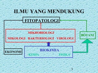 3
ILMU YANG MENDUKUNG
FITOPATOLOGI
BOTANI
MIKOLOGI BAKTERIOLOGI VIROLOGI
MIKROBIOLOGI
BIOKIMIA
KIMIA FISIKA
EKONOMI
 