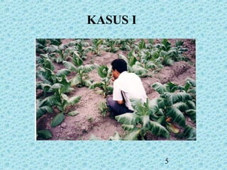 5
KASUS I
 
