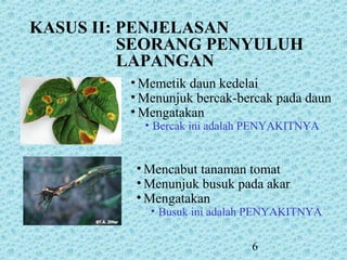 6
KASUS II: PENJELASAN
SEORANG PENYULUH
LAPANGAN
• Memetik daun kedelai
• Menunjuk bercak-bercak pada daun
• Mengatakan
• Bercak ini adalah PENYAKITNYA
• Mencabut tanaman tomat
• Menunjuk busuk pada akar
• Mengatakan
• Busuk ini adalah PENYAKITNYA
 