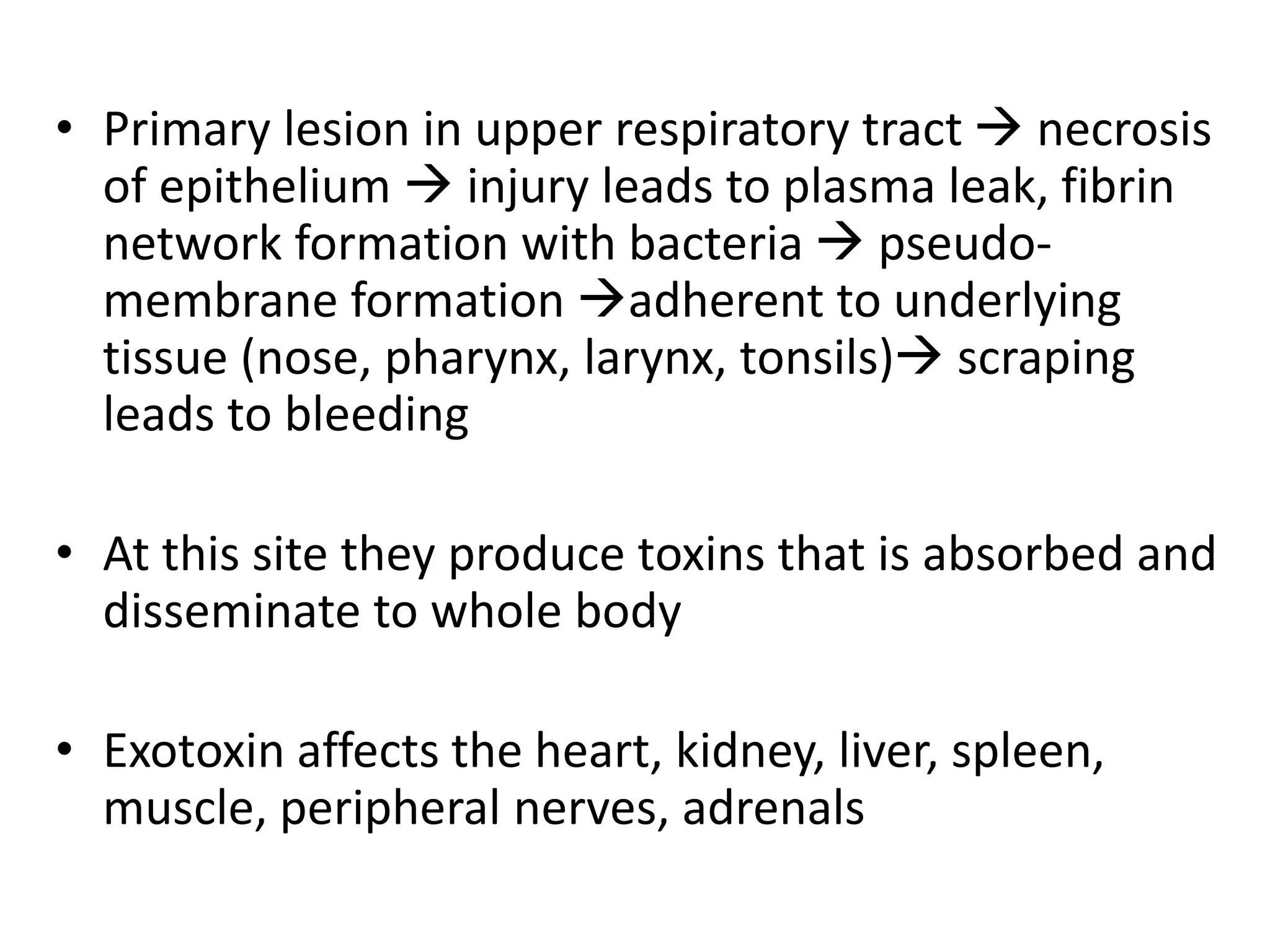 • Primary lesion in upper respiratory tract  necrosis
of epithelium  injury leads to plasma leak, fibrin
network formation with bacteria  pseudo-
membrane formation adherent to underlying
tissue (nose, pharynx, larynx, tonsils) scraping
leads to bleeding
• At this site they produce toxins that is absorbed and
disseminate to whole body
• Exotoxin affects the heart, kidney, liver, spleen,
muscle, peripheral nerves, adrenals
 