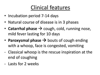 Clinical features
• Incubation period 7-14 days
• Natural course of disease is in 3 phases
• Catarrhal phase  cough, cold, running nose,
mild fever lasting for 10 days
• Paroxysmal phase  bouts of cough ending
with a whoop, face is congested, vomiting
- Classical whoop is the rescue inspiration at the
end of coughing
- Lasts for 2 weeks
 