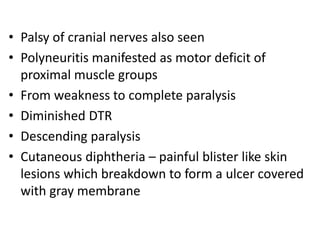 • Palsy of cranial nerves also seen
• Polyneuritis manifested as motor deficit of
proximal muscle groups
• From weakness to complete paralysis
• Diminished DTR
• Descending paralysis
• Cutaneous diphtheria – painful blister like skin
lesions which breakdown to form a ulcer covered
with gray membrane
 