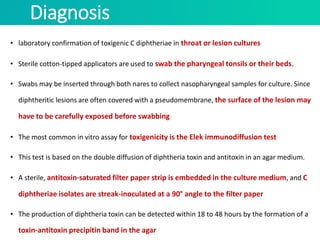 Diagnosis
• laboratory confirmation of toxigenic C diphtheriae in throat or lesion cultures
• Sterile cotton-tipped applicators are used to swab the pharyngeal tonsils or their beds.
• Swabs may be inserted through both nares to collect nasopharyngeal samples for culture. Since
diphtheritic lesions are often covered with a pseudomembrane, the surface of the lesion may
have to be carefully exposed before swabbing
• The most common in vitro assay for toxigenicity is the Elek immunodiffusion test
• This test is based on the double diffusion of diphtheria toxin and antitoxin in an agar medium.
• A sterile, antitoxin-saturated filter paper strip is embedded in the culture medium, and C
diphtheriae isolates are streak-inoculated at a 90° angle to the filter paper
• The production of diphtheria toxin can be detected within 18 to 48 hours by the formation of a
toxin-antitoxin precipitin band in the agar