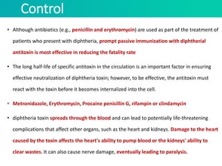 Control
• Although antibiotics (e.g., penicillin and erythromycin) are used as part of the treatment of
patients who present with diphtheria, prompt passive immunization with diphtherial
antitoxin is most effective in reducing the fatality rate
• The long half-life of specific antitoxin in the circulation is an important factor in ensuring
effective neutralization of diphtheria toxin; however, to be effective, the antitoxin must
react with the toxin before it becomes internalized into the cell.
• Metronidazole, Erythromycin, Procaine penicillin G, rifampin or clindamycin
• diphtheria toxin spreads through the blood and can lead to potentially life-threatening
complications that affect other organs, such as the heart and kidneys. Damage to the heart
caused by the toxin affects the heart's ability to pump blood or the kidneys' ability to
clear wastes. It can also cause nerve damage, eventually leading to paralysis.