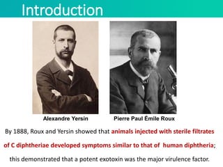 Introduction
By 1888, Roux and Yersin showed that animals injected with sterile filtrates
of C diphtheriae developed symptoms similar to that of human diphtheria;
this demonstrated that a potent exotoxin was the major virulence factor.
Alexandre Yersin Pierre Paul Émile Roux