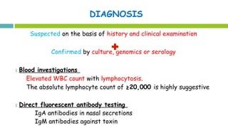 DIAGNOSIS
Suspected on the basis of history and clinical examination
Confirmed by culture, genomics or serology
1.Blood investigations
Elevated WBC count with lymphocytosis.
The absolute lymphocyte count of ≥20,000 is highly suggestive
1.Direct fluorescent antibody testing
IgA antibodies in nasal secretions
IgM antibodies against toxin
 
