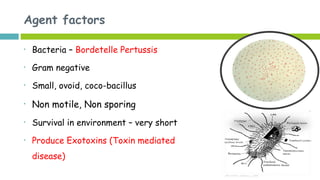 Agent factors
• Bacteria – Bordetelle Pertussis
• Gram negative
• Small, ovoid, coco-bacillus
• Non motile, Non sporing
• Survival in environment – very short
• Produce Exotoxins (Toxin mediated
disease)
 