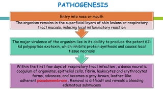 PATHOGENESIS
 