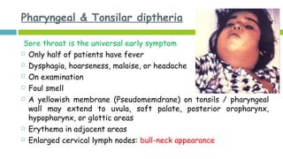 Pharyngeal & Tonsilar diptheria
Sore throat is the universal early symptom
 Only half of patients have fever
 Dysphagia, hoarseness, malaise, or headache
 On examination
 Foul smell
 A yellowish membrane (Pseudomemdrane) on tonsils / pharyngeal
wall may extend to uvula, soft palate, posterior oropharynx,
hypopharynx, or glottic areas
 Erythema in adjacent areas
 Enlarged cervical lymph nodes: bull-neck appearance
 