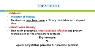TREATMENT
1. Antitoxin:
 Mainstay of therapy
 Neutralizes only free toxin, efficacy diminishes with elapsed
time
2. Antimicrobial therapy
 Halt toxin production, treat localized infection and prevent
transmission of the organism to contacts
Erythromycin
Or
aqueous crystalline penicillin G / procaine penicillin
 