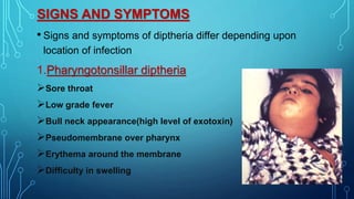 SIGNS AND SYMPTOMS
• Signs and symptoms of diptheria differ depending upon
location of infection
1.Pharyngotonsillar diptheria
Sore throat
Low grade fever
Bull neck appearance(high level of exotoxin)
Pseudomembrane over pharynx
Erythema around the membrane
Difficulty in swelling
 