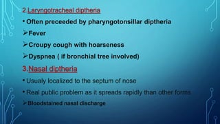 2.Laryngotracheal diptheria
• Often preceeded by pharyngotonsillar diptheria
Fever
Croupy cough with hoarseness
Dyspnea ( if bronchial tree involved)
3.Nasal diptheria
• Usualy localized to the septum of nose
• Real public problem as it spreads rapidly than other forms
Bloodstained nasal discharge
 