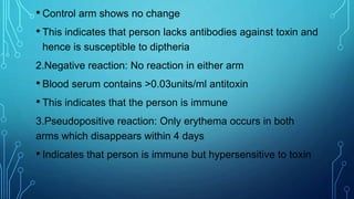• Control arm shows no change
• This indicates that person lacks antibodies against toxin and
hence is susceptible to diptheria
2.Negative reaction: No reaction in either arm
• Blood serum contains >0.03units/ml antitoxin
• This indicates that the person is immune
3.Pseudopositive reaction: Only erythema occurs in both
arms which disappears within 4 days
• Indicates that person is immune but hypersensitive to toxin
 
