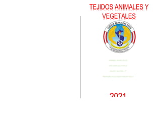 TEJIDOS ANIMALES Y
VEGETALES
NOMBRES: NICOLE GRACE
APELLIDOS: SALVA PALLA
GRADO Y SECCIÓN: 1 “F”
PROFESORA: VALLE ROJAS MARLENY NELLY
COLEGIO: MANUEL POLO JIMENEZ
2021
 