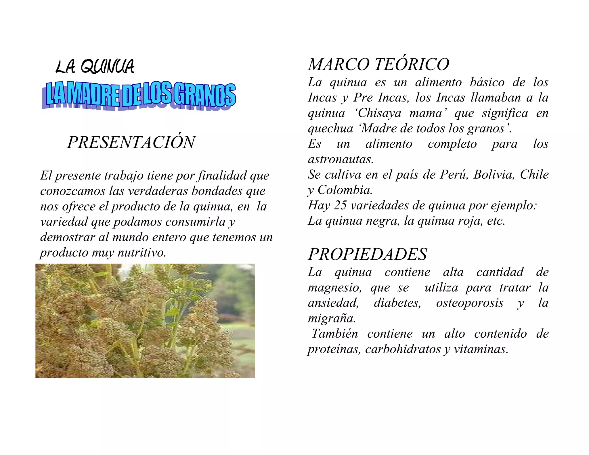 LA QUINUA                                   MARCO TEÓRICO
                                              La quinua es un alimento básico de los
                                              Incas y Pre Incas, los Incas llamaban a la
                                              quinua „Chisaya mama‟ que significa en
                                              quechua „Madre de todos los granos‟.
    PRESENTACIÓN                              Es un alimento completo para los
                                              astronautas.
El presente trabajo tiene por finalidad que   Se cultiva en el país de Perú, Bolivia, Chile
conozcamos las verdaderas bondades que        y Colombia.
nos ofrece el producto de la quinua, en la    Hay 25 variedades de quinua por ejemplo:
variedad que podamos consumirla y             La quinua negra, la quinua roja, etc.
demostrar al mundo entero que tenemos un
producto muy nutritivo.                       PROPIEDADES
                                              La quinua contiene alta cantidad          de
                                              magnesio, que se utiliza para tratar      la
                                              ansiedad, diabetes, osteoporosis y        la
                                              migraña.
                                               También contiene un alto contenido       de
                                              proteínas, carbohidratos y vitaminas.
 