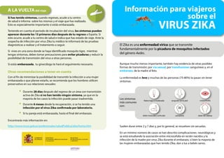 El Zika es una enfermedad vírica que se transmite
fundamentalmente por la picadura de mosquitos infectados
del género Aedes.
Aunque mucho menos importante, también hay evidencia de otras posibles
formas de transmisión: por vía sexual, por transfusiones sanguíneas y, en el
embarazo, de la madre al feto.
La enfermedad es leve y muchas de las personas (75-80%) la pasan sin tener
síntomas.
Los síntomas
más comunes
son:
Suelen durar entre 2 y 7 días y, por lo general, se resuelven sin secuelas.
En un mínimo número de casos se han descrito complicaciones neurológicas y
se está estudiando la asociación entre microcefalia en recién nacidos y la
infección de la madre por virus Zika durante el embarazo, si bien la mayoría de
las mujeres embarazadas que han tenido Zika, dan a luz a bebés sanos.
A LA VUELTAdel viaje
Si has tenido síntomas, cuando regreses, acude a tu centro
de salud e informa sobre los mismos y el viaje que has realizado.
Esto es especialmente importante si estás embarazada.
Teniendo en cuenta el periodo de incubación del virus, los síntomas pueden
aparecer durante los 15 primeros días después de tu regreso a España. Si
esto ocurre, acude a tu centro de salud e indica que has estado de viaje. Ante la
sospecha de infección por virus Zika tu médico te informará de las pruebas
diagnósticas a realizar y el tratamiento a seguir.
Si vives en una zona donde se haya identificado mosquito tigre, mientras
tengas síntomas, debes tomar precauciones para evitar picaduras y reducir la
posibilidad de transmisión del virus a otras personas.
Si estás embarazada, tu ginecólogo te hará el seguimiento necesario.
Otras recomendaciones a tener en cuenta
Con el fin de minimizar la posibilidad de transmitir la infección a una mujer
embarazada o que planee estarlo, se recomienda que los hombres utilicen
preservativo en sus relaciones sexuales:
• Durante 28 días después del regreso de un área con transmisión
activa de Zika si no han tenido ningún síntoma, ya que en la
mayoría de los casos la infección puede pasar inadvertida.
• Durante 6 meses desde la recuperación, si se ha tenido una
infección por el virus Zika confirmada por laboratorio.
• Si tu pareja está embarazada, hasta el final del embarazo.
Encontrarás más información en:
http://www.msssi.gob.es/profesionales/saludPublica/zika/home.htm
Información para viajeros
sobre el
VIRUS ZIKA
fiebre baja o moderada conjuntivitis
dolor muscular y articular cansancio dolor de cabeza
erupción en la piel
 