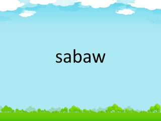 sabaw
 