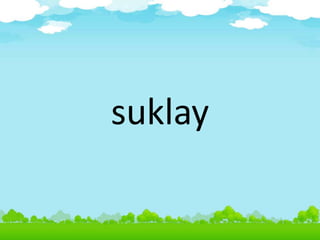 suklay
 