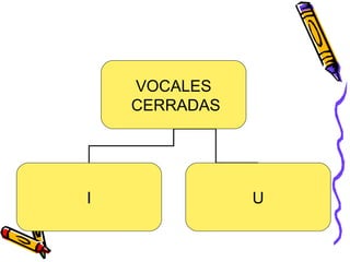 VOCALES 
CERRADAS 
I U 
 