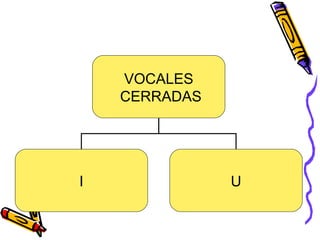 VOCALES CERRADAS I U 