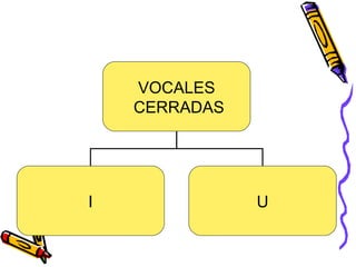 VOCALES CERRADAS I U 