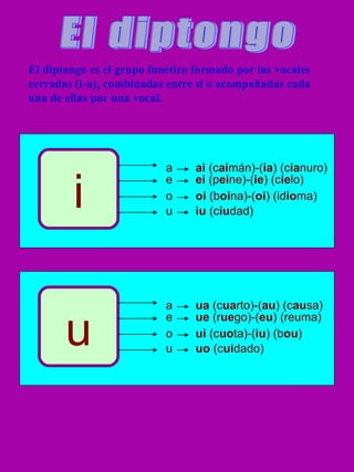 El diptongo El diptongo es el grupo fonético formado por las vocales cerradas (i-u), combinadas entre si o acompañadas cada una de ellas por una vocal. i a ai (c ai mán)-( ia ) (c ia nuro) e ei (p ei ne)-( ie ) (c ie lo) o oi (b oi na)-( oi ) (id io ma) u iu (c iu dad) u a ua (c ua rto)-( au ) (c au sa) e ue (r ue go)-( eu ) (reuma) o ui (c uo ta)-( iu ) (b ou ) u uo (c ui dado)