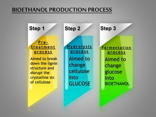 Step 1
P r e -
t r e a t m e n t
p r o c e s s
Aimed to break
down the lignin
structure and
disrupt the
crystalline str.
of cellulose
Step 2 Step 3
Aimed to
change
glucose
Into
BIOETHANOL
Aimed to
change
cellulose
into
GLUCOSE
Fe r m e n t a t i o n
p r o c e s s
H y d r o l y s i s
p r o c e s s
BIOETHANOL PRODUCTION PROCESS
 