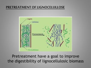 PRETREATMENT OF LIGNOCELULLOSE
Pretreatment have a goal to improve
the digestibility of lignocellulosic biomass
 