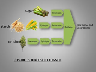 POSSIBLESOURCES OF ETHANOL
Bioethanol and
Co-products
sugar
starch
cellulose
 