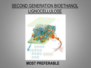 SECOND GENERATION BIOETHANOL
LIGNOCELLULOSE
MOST PREFERABLE
 