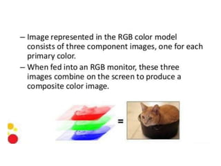 Image color models