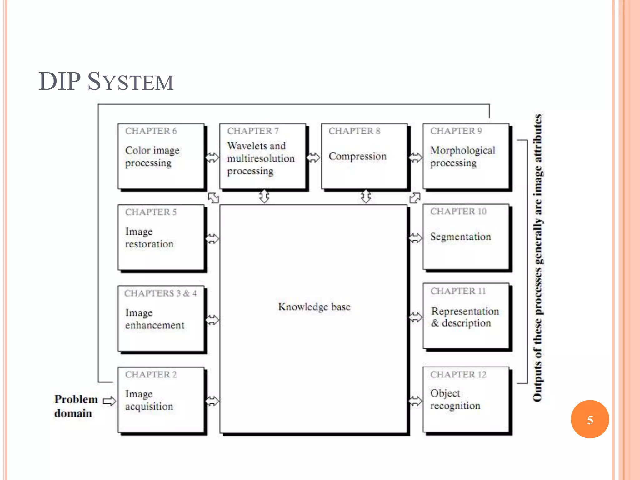 DIP SYSTEM




             5
 