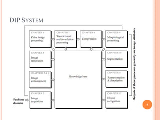 DIP SYSTEM




             5
 